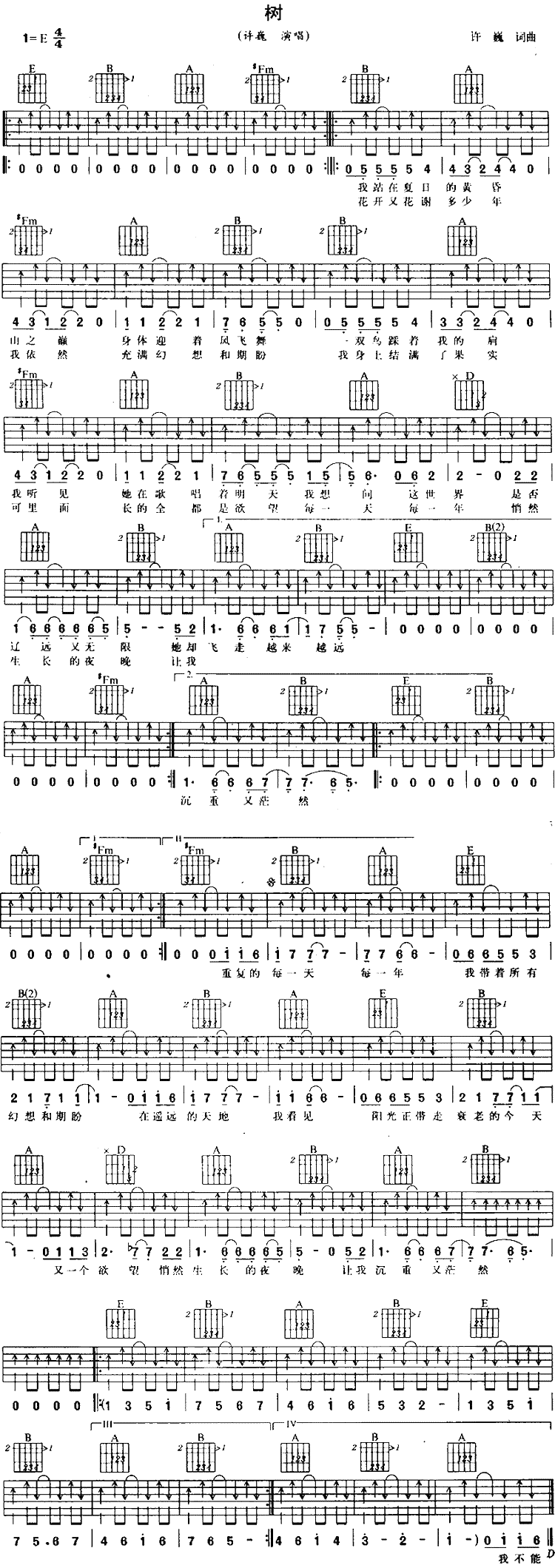 树吉他谱,原版许巍歌曲,简单E调弹唱教学,网络转载版六线指弹简谱图