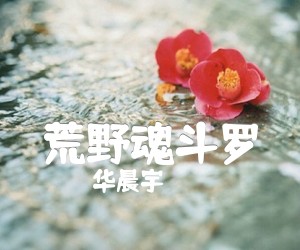 荒野魂斗罗吉他谱,原版华晨宇歌曲,简单C调弹唱教学,六线谱指弹简谱5张图