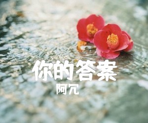 你的答案吉他谱,原版阿冗歌曲,简单D调弹唱教学,六线谱指弹简谱2张图