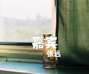 嘉宾吉他谱,原版张远歌曲,简单G调弹唱教学,六线谱指弹简谱3张图