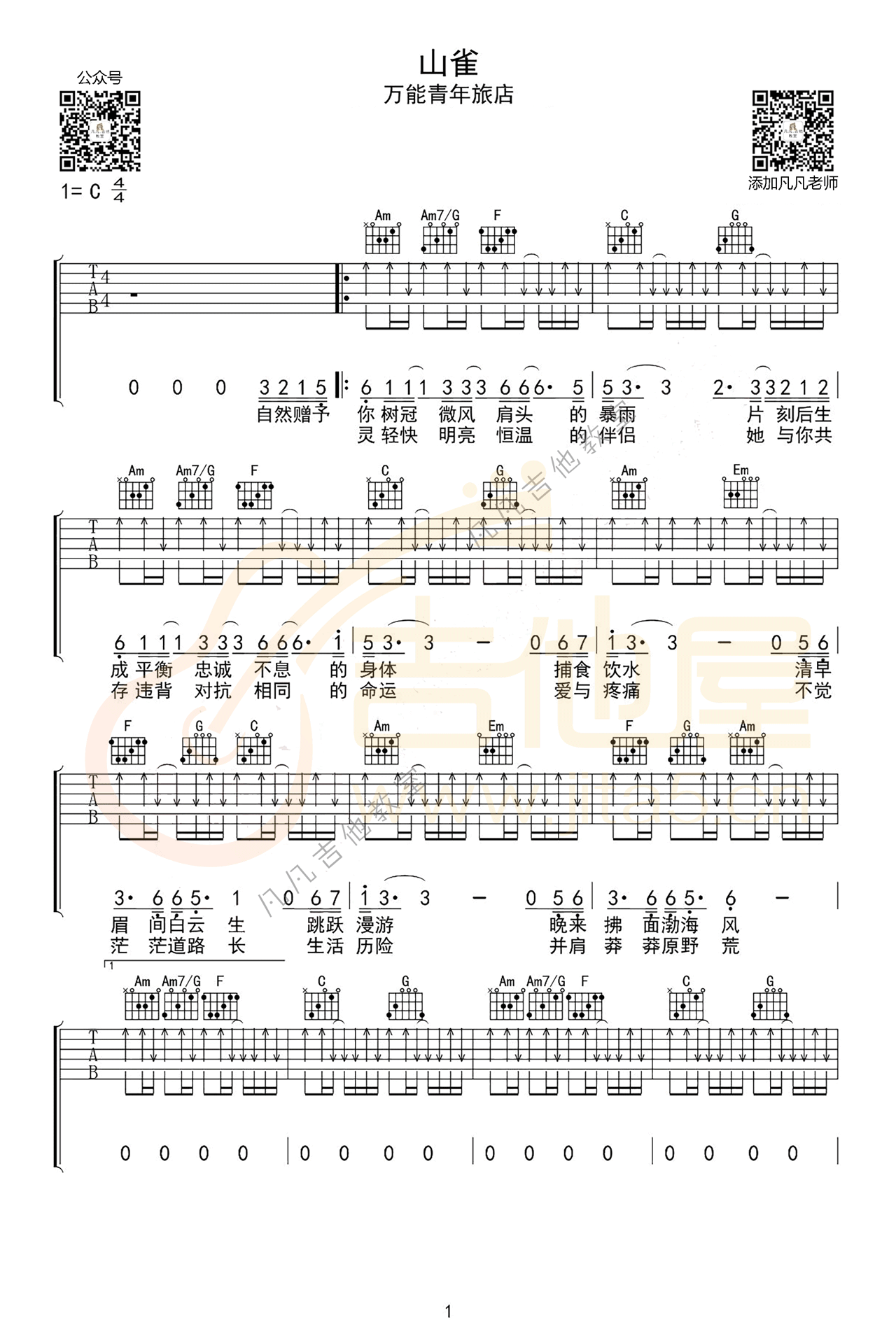 山雀吉他谱,原版万能青年旅店歌曲,简单C调指弹曲谱,高清六线乐谱