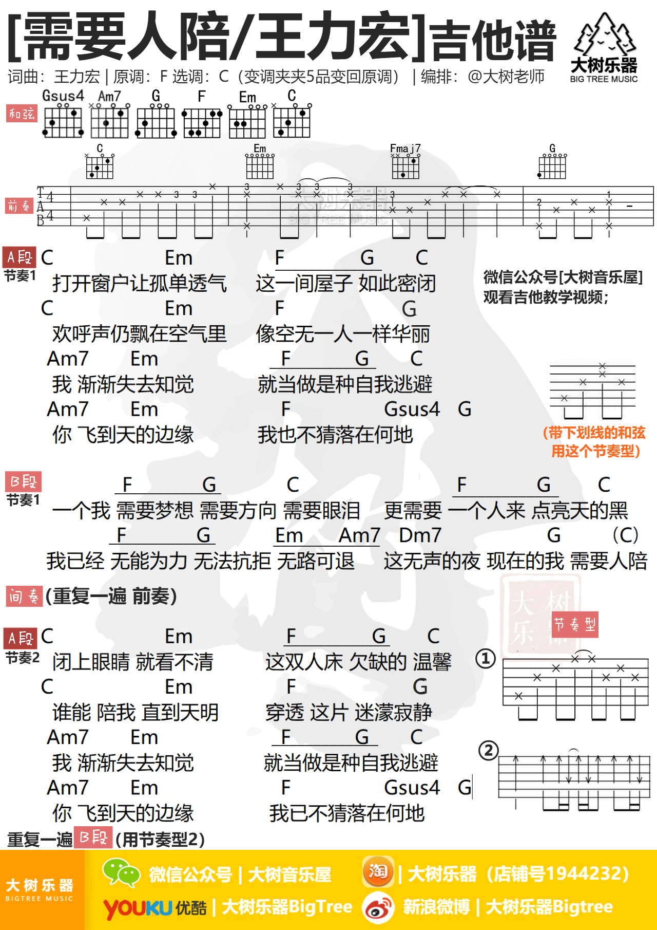 需要人陪吉他谱,简单C调原版指弹曲谱,王力宏高清六线谱教程