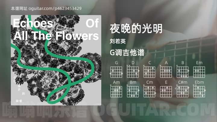 夜晚的光明吉他谱,刘若英歌曲,G调指弹简谱,3张教学六线谱