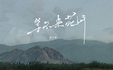 Pro等不来花开吉他谱,简单C调原版指弹曲谱,Pro高清六线谱教程