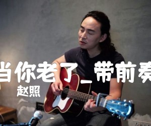 当你老了吉他谱,原版歌曲,简单带前奏弹唱教学,六线谱指弹简谱3张图