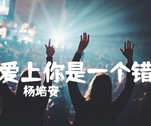 爱上你是一个错吉他谱,原版歌曲,简单G调弹唱教学,六线谱指弹简谱1张图