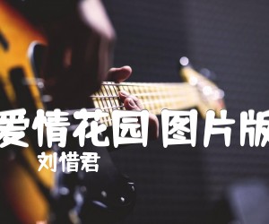 爱情花园图片版吉他谱,原版歌曲,简单B调弹唱教学,六线谱指弹简谱3张图