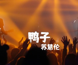 鸭子吉他谱,原版歌曲,简单G调弹唱教学,六线谱指弹简谱2张图