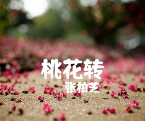 桃花转吉他谱,原版歌曲,简单F调弹唱教学,六线谱指弹简谱3张图