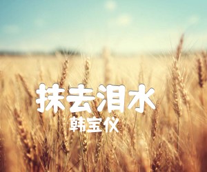 抹去泪水（）吉他谱,原版歌曲,简单C调弹唱教学,六线谱指弹简谱5张图