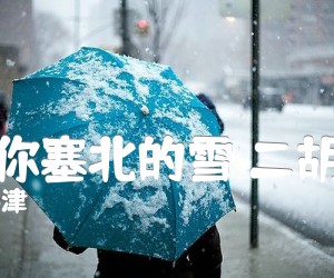 我爱你塞北的雪二胡曲谱吉他谱,原版歌曲,简单B调弹唱教学,六线谱指弹简谱1张图