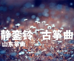 夜静銮铃古筝曲谱吉他谱,原版歌曲,简单D调弹唱教学,六线谱指弹简谱1张图