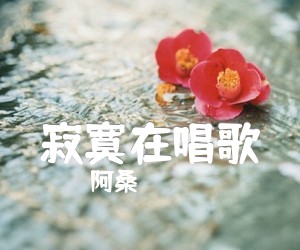 寂寞在唱歌吉他谱,原版歌曲,简单C调弹唱教学,六线谱指弹简谱1张图