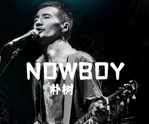 NOWBOY吉他谱,原版歌曲,简单D调弹唱教学,六线谱指弹简谱1张图