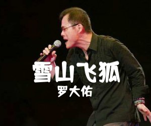 雪山飞狐吉他谱,原版歌曲,简单D调弹唱教学,六线谱指弹简谱1张图