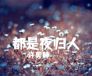 都是夜归人吉他谱,原版歌曲,简单G调弹唱教学,六线谱指弹简谱1张图