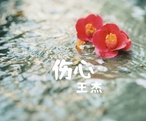 伤心吉他谱,原版歌曲,简单G调弹唱教学,六线谱指弹简谱1张图