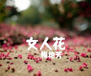 女人花吉他谱,原版歌曲,简单F调弹唱教学,六线谱指弹简谱1张图