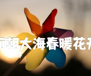 胡畔面朝大海春暖花开吉他谱,原版歌曲,简单C调弹唱教学,六线谱指弹简谱2张图