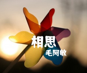 毛阿敏相思吉他谱,原版歌曲,简单C调弹唱教学,六线谱指弹简谱2张图