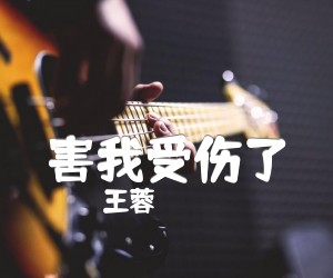 王蓉害我受伤了吉他谱,原版歌曲,简单C调弹唱教学,六线谱指弹简谱4张图