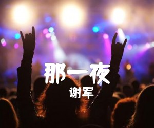 谢军那一夜吉他谱,原版歌曲,简单G调弹唱教学,六线谱指弹简谱4张图