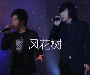 风花树吉他谱,原版歌曲,简单A调弹唱教学,六线谱指弹简谱1张图