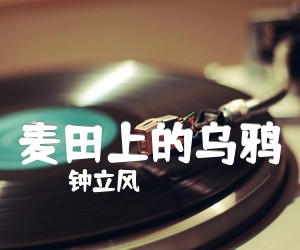 钟立风麦田上的乌鸦吉他谱,原版歌曲,简单D调弹唱教学,六线谱指弹简谱3张图