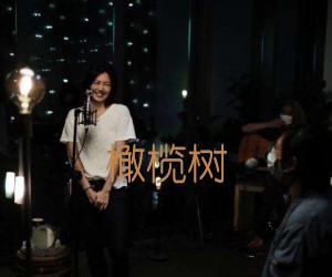 橄榄树吉他谱,原版歌曲,简单C调弹唱教学,六线谱指弹简谱1张图