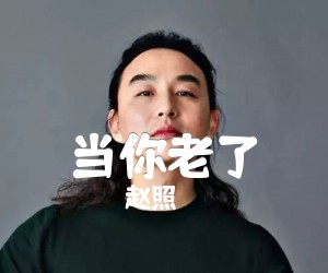 当你老了吉他谱,原版歌曲,简单D调弹唱教学,六线谱指弹简谱3张图