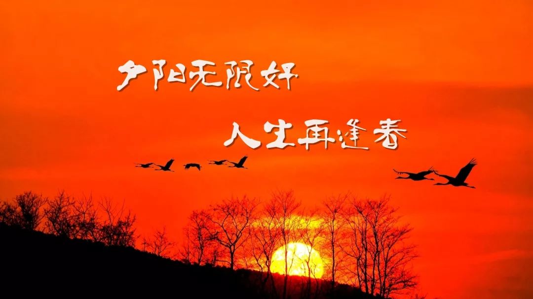 夕阳无限好吉他谱,陈奕迅歌曲,简单指弹教学简谱,G调编配版吉他弹唱谱 