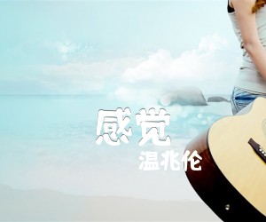 感觉吉他谱,原版歌曲,简单C调弹唱教学,六线谱指弹简谱1张图