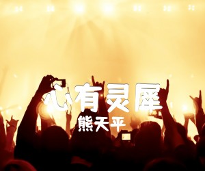 心有灵犀吉他谱,原版歌曲,简单C调弹唱教学,六线谱指弹简谱1张图