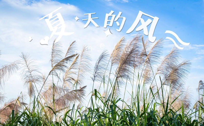 夏天的风吉他谱,温岚歌曲,简单指弹教学简谱,C调简单版吉他弹唱谱 