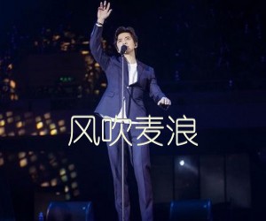 风吹麦浪吉他谱,原版歌曲,简单A调弹唱教学,六线谱指弹简谱1张图