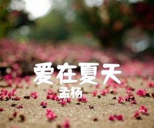 爱在夏天吉他谱,原版歌曲,简单C调弹唱教学,六线谱指弹简谱4张图