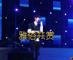 雅俗共赏吉他谱,原版歌曲,简单C调弹唱教学,六线谱指弹简谱4张图