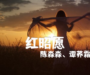 红昭愿吉他谱,原版歌曲,简单C调弹唱教学,六线谱指弹简谱4张图