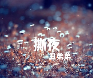 撕夜吉他谱,原版歌曲,简单A调弹唱教学,六线谱指弹简谱2张图