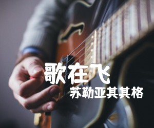 歌在飞吉他谱,原版歌曲,简单A调弹唱教学,六线谱指弹简谱2张图