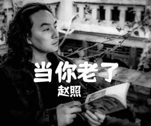 当你老了吉他谱,原版歌曲,简单D调弹唱教学,六线谱指弹简谱2张图