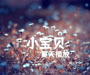 小宝贝吉他谱,原版歌曲,简单_C调弹唱教学,六线谱指弹简谱完整版_C调_吉他图片谱3张图