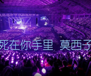 要死就一定要死在你手里莫西子诗C调高清谱吉他谱,原版歌曲,简单C调弹唱教学,六线谱指弹简谱1张图