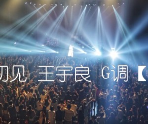 闻窗一如初见王宇良G调【西二吉他】吉他谱,原版歌曲,简单G调弹唱教学,六线谱指弹简谱1张图