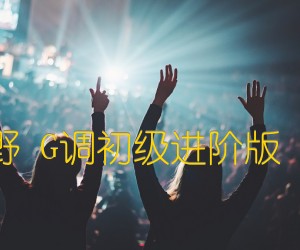 斑马斑马宋冬野G调初级进阶版（酷音小伟吉他）吉他谱,原版歌曲,简单G调弹唱教学,六线谱指弹简谱1张图