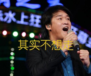 其实不想走吉他谱,原版歌曲,简单E调弹唱教学,六线谱指弹简谱2张图