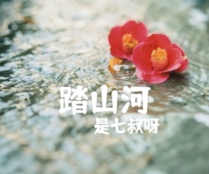 踏山河吉他谱,原版歌曲,简单G调弹唱教学,六线谱指弹简谱2张图