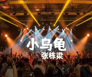 小乌龟吉他谱,原版歌曲,简单G调弹唱教学,六线谱指弹简谱2张图