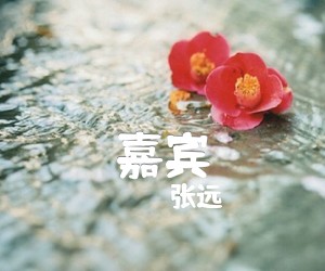 嘉宾吉他谱,原版歌曲,简单G调弹唱教学,六线谱指弹简谱2张图