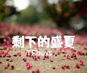 剩下的盛夏吉他谱,原版歌曲,简单F调弹唱教学,六线谱指弹简谱2张图